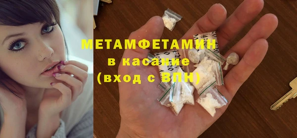 прущие грибы Абдулино