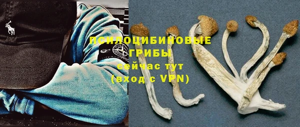 COCAINE Абаза