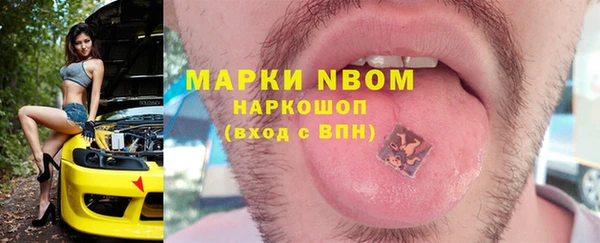 прущие грибы Абинск