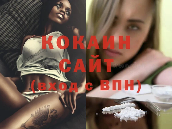 прущие грибы Абинск