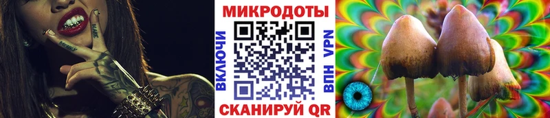 Галлюциногенные грибы Psilocybine cubensis Приволжский